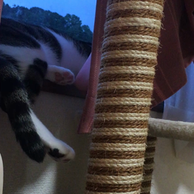 台風接近中の画像