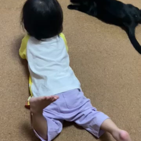 仲良し姉妹　チビ黒さんと姪っ子の画像