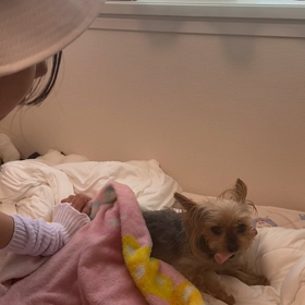 怖　可愛いの画像