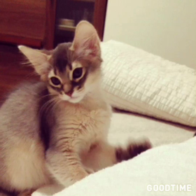 いつまで甘えてくれる？の画像