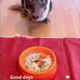 犬の腎臓病と手作りごはん 愛犬の手作りごはん おやつ ペットロス Lucoandのブログ