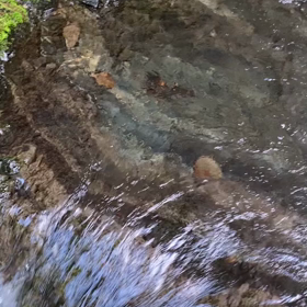 8月は休まず営業致しますの画像