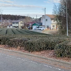 1/28 駅伝コース練習④の画像