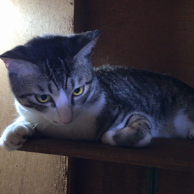 8月２５日金曜日の画像