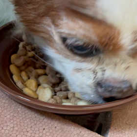 食べることは生きることの画像