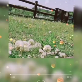 母の日ギフト・販売・オーダー　ブーケ&フラワー教室のブロッサ　の画像