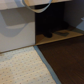 第二弾家を守るの画像