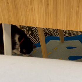 やっと遊べるようになってきたの画像