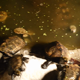 三密か？の画像