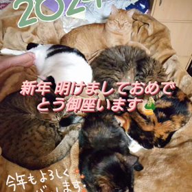 324★ご挨拶を忘れておりました。の画像