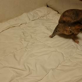 みんな遊ぶでぇのその２の画像