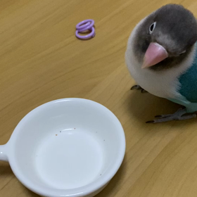 スポーツの秋の画像