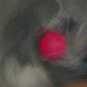 修行…これもアリか！の画像