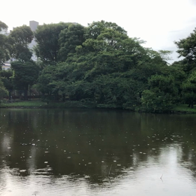 無題　2020/07/28の画像