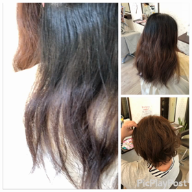 なんと‼️‼️の画像