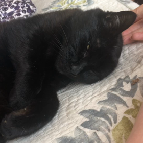 掃除？何かあった？Σ(`д´ )の画像