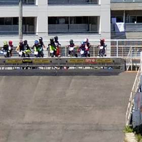 やっばりね(⌒‐⌒)の画像