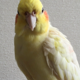 緊張し過ぎ⁈の画像