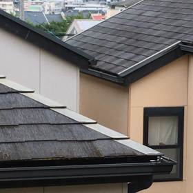 夏が来るよ〜〜の画像