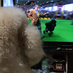 只今勉強中( ◠‿◠ )の画像