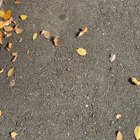 冬が来る前にの画像