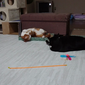 世の中そんなに上手くは…まわらんの画像