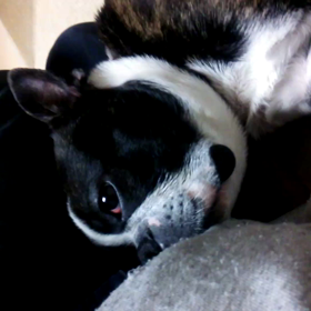 ■動画■おねむちゃん。の画像