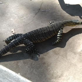 暖かい場所だからの画像