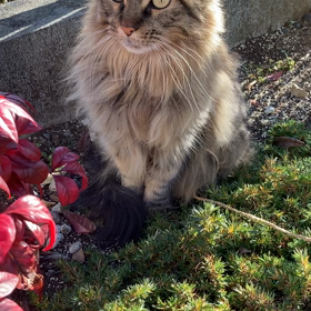 風の時代が〜キタァ〜！！！の画像