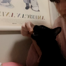 黒猫っておもしろい☆の画像