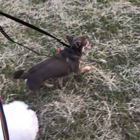 ♪お散歩動画♪代々木公園♪の画像