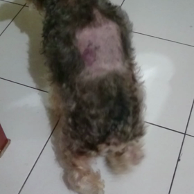 病気中  >″<の画像