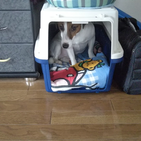 いつもの朝❗️の画像