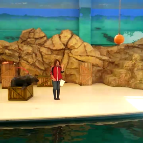 動画がアップ出来るようになったから～の画像