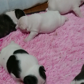 出ちゃった～！の画像