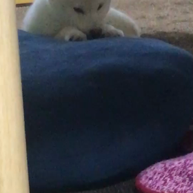 ちょいまえのときくん お気に入りを見つける巻の画像