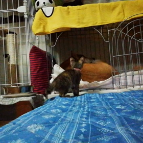 譲り合いの画像