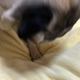 ★ 掘る男 ★の画像