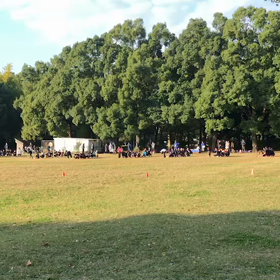 10色リレー 折り返し付近①の画像