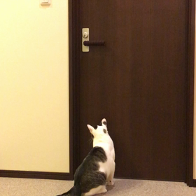 ドアを開けるの画像