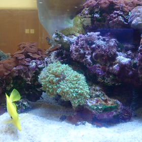 暑中お見舞い申し上げますの画像