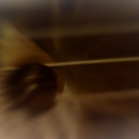 がじがじがじがじがじ 。の画像