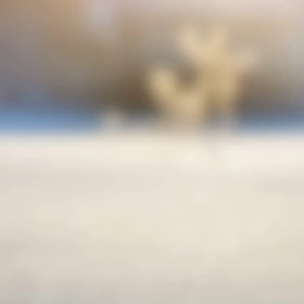 今日の気づき✨の画像