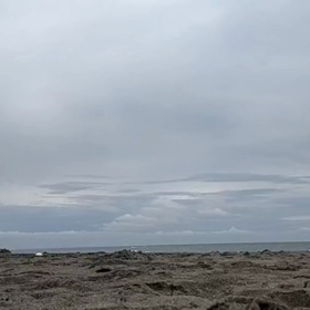 粛々と　　光空会　平塚道場　土曜日の画像