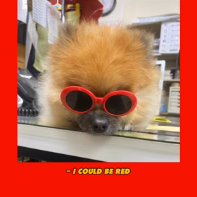 マリーのPVの画像