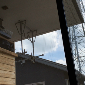 キジバト観察28の画像