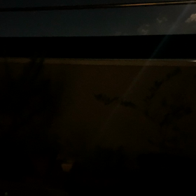 気持ち大切にの画像