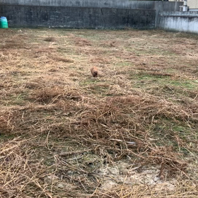 互いに歩み寄りが必要かな？の画像