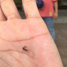 第13回 バトルオブレインボー‼︎の画像