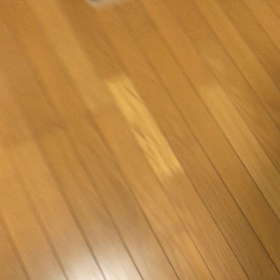 娘は負けて私は女学生にも勝ったどーー！デールちゃん過呼吸？の画像